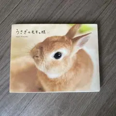 もにまるず ネザーランドドワーフ うさぎのモキュ様 monimoni もにまるず ネザーランドドワーフ うさぎのモキュ様 monimoni