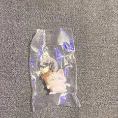 ドラゴンボール　めじるしアクセサリー4 カリン