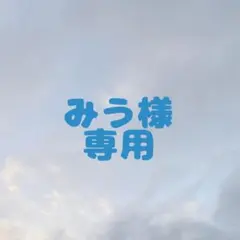 みう様専用