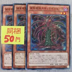 遊戯王　捕食植物スキッド・ドロセーラ　３枚セット