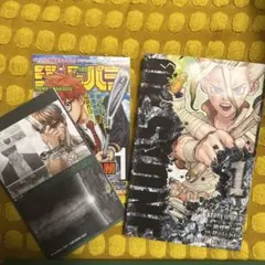 2026年最新】Dr.STONE 1 初版の人気アイテム - メルカリ