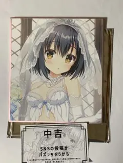 サガプラネッツ　アンビシャスミッション　アクリルキーホルダー　全8種 中身はランダム】チキップダンサーズ アクリルキーホルダー