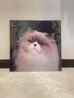 2025年最新】カネコアヤノ 燦々 レコードの人気アイテム - メルカリ