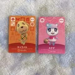 amiiboカード2枚セット