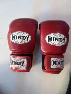 2025年最新】windy グローブの人気アイテム - メルカリ