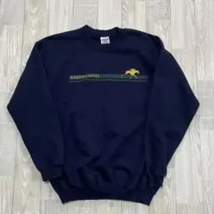 vintage y2k gildan ultracottonスウェット　パーカー
