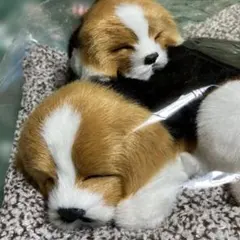 sleeping dog familyインフィニティ　リアルなワンchanの置物