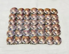 三毛縞斑 テーマスカウト缶バッジ