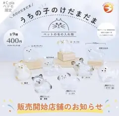 うちの子のけだまだま ペテモ　限定アソ ート ミックス犬