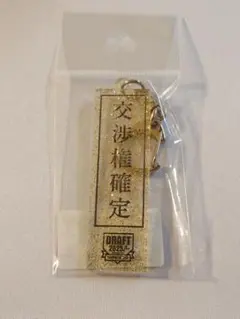 2025 ドラフト会議 ゴールドラメ アクリルキーホルダー プロ野球 NPB