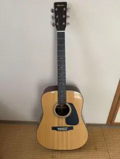 Morris アコースティックギター MD201N
