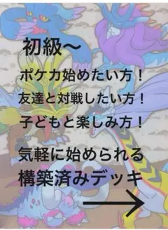 ポケモンカード　まとめ売り　引退品　闘デッキ　構築済みデッキ　ポケカ