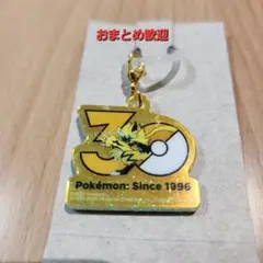 ポケモン Poké-Charm 30周年 ロゴマスコット ゼラオラ