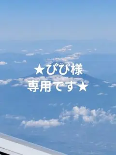 ★ぴぴ様専用です★のサムネイル