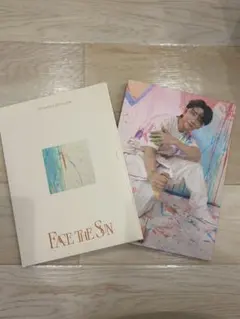 SEVENTEEN FACE THE SUN Carat盤