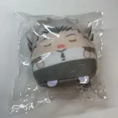 ハイキュー!! くじメイト ぬいくじ E賞 てのりんずコレクション 木兎光太郎