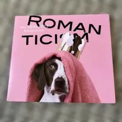 ロマンチシズム Mrs.GREEN APPLE 初回限定盤 CD+DVD