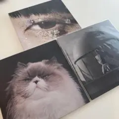 最終価格　カネコアヤノ　燦々・祝祭　重量盤　セット売り カネコアヤノ 祝祭 燦々 LP 180g重量盤 【公式通販】
