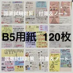 ⭐︎B5用紙120枚　看護師国家試験対策　付箋ノート⭐︎