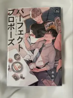 パーフェクトプロポーズ BL漫画