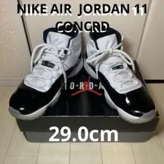 Air Jordan 11 コンコルド　29.0cm