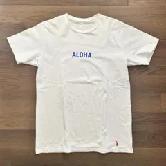 SUNSHINE+CLOUD/GROWN IN THE SUN Tシャツ(M)