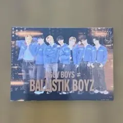 BOT RE:BIRTH アプグレ フォトカ BALLISTIK BOYZ