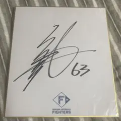 北海道日本ハムファイターズ 山城航太郎 サイン色紙