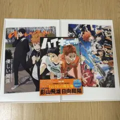 ハイキュー マガジン パンフレット anan セット