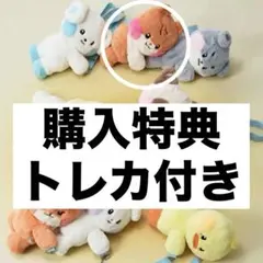 2025年最新】zeroni ぬいぐるみ フラットの人気アイテム - メルカリ