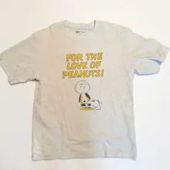 Item thumbnail for item f5a31a33-406d-41d0-86ee-f87b0d130c98