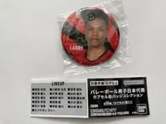 Item thumbnail for item 55d69558-45d7-40a7-82df-60a91b6084eb