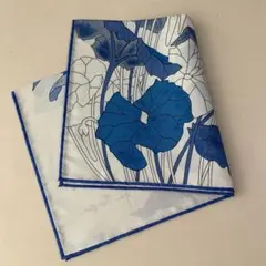 Item thumbnail for item 370b1441-4101-4728-a881-2b964669e1d2