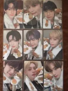 zb1 yizhiyu 一直娱 ねこ特典 トレカ 9枚セット　全員