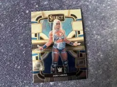 Item thumbnail for item 0faeacdc-aba1-4c2f-8086-e65e0ce69405