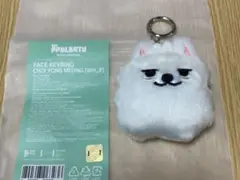 txt スビン ヨンモン チェヨンモン フェイスキーリング