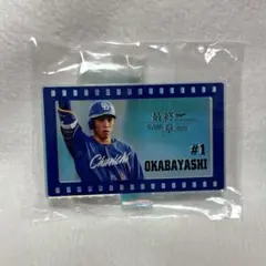 中日ドラゴンズ　ミニアクリルスタンド 岡林　ドラゴンズガチャ