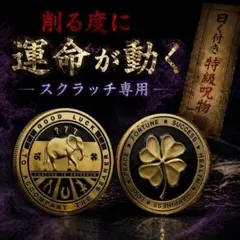 豊穣と美を引き出し満たす女神の器　790 特級呪物　曰く付き 2026年最新】曰く付きの人気アイテム - メルカリ