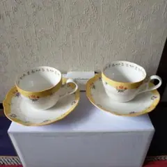 【新品未使用】ノリタケ☆Noritake★花柄カップ＆ソーサー2客セット