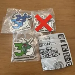 ポケモン 30周年記念 メタルチャームマスコット カイオーガ　レックウザ