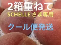 山梨一宮の甘い桃 今年の最終出品です 2キロ箱に6個 - メルカリ