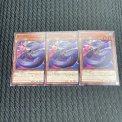 遊戯王 夜刀蛇巳 3枚セット