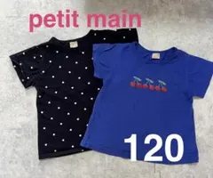 petit main プティマイン　半袖　トップス　120 カットソー