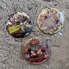 缶バッジセット ミッキー ミニー 30周年 東京ディズニーリゾート