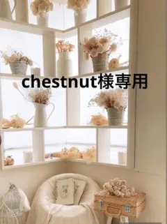 chestnut様専用 ★グレー×迷彩★ レッスンバック
