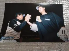 大谷翔平 2014 ハイライトフォト No.278 日本ハム 球団公式写真