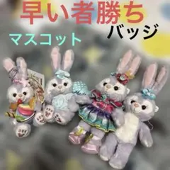 2026年最新】ステラルー ぬいぐるみバッジの人気アイテム - メルカリ