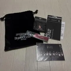 【未使用・未開封】&TEAM 10/26 たまアリ　アプグレ特典