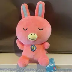 2025年最新】novaうさぎの人気アイテム - メルカリ