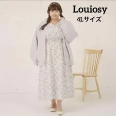 2026年最新】ルオシー 4lの人気アイテム - メルカリ